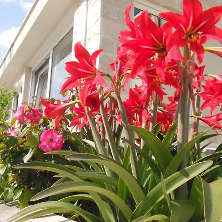 Pansion Komfor Moca Guest house Makarska