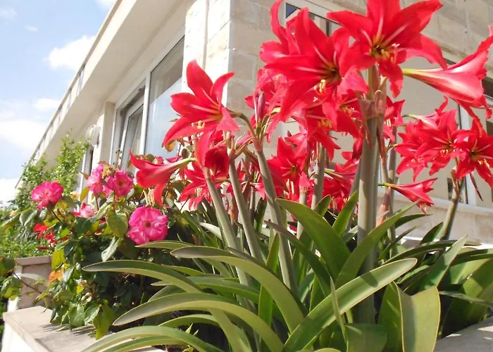 Pansion Komfor Moca Pensjonat Makarska